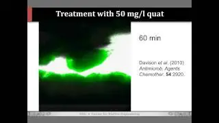 Phil Stewart - Keynote - The Science of Biofilm Control with Antimicrobial Agents