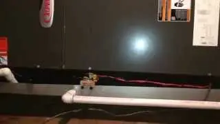 232724