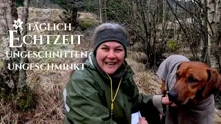 Echtzeit: Heiligabend Besuch mit 🐕Hund Odin, die Pferde🐴 und mir👩&zwj;🌾! | TV Serie, wahres Leben