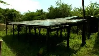 Naboisho Community Conservancy, Masai Mara, Kenya: Progress Report