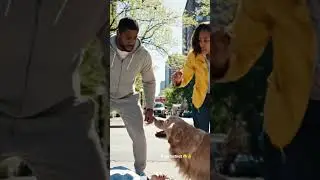 dogs instinct save person life !! dogs are friends of human #dogs #savelifeofdogs #humanity