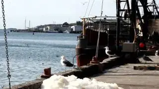 Boston Corporate Video