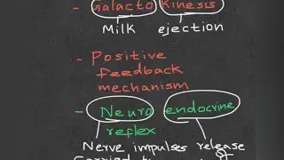 Physiology of breastfeeding a baby / Milk ejection reflex/ letdown reflex #medicalnotes #easyscience