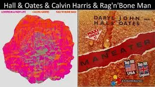 Mashup: Hall & Oates & Calvin Harris & Rag'n'Bone Man - Maneaters In A Past Life