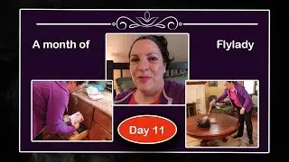 ⏱️ A Month of FlyLady Cleaning and Decluttering || 02/11/19 || Weekly Home Blessing ||| Day 11 ⏱️
