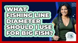 What Fishing Line Diameter Should I Use For Big Fish? - Chasing Big Fish