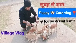  एक दिन Puppies के नाम 🐶❣️🐕👍#PuppyVlog #CutePuppies #DogLovers #DailyVlog #PuppyCare #IndianVlogger