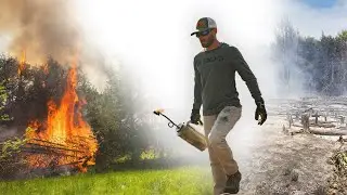 Goodbye Cedars!  Why I Am Burning Down More Cedar Thickets!