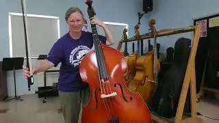 Flop Eared Mule Bass