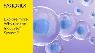 Why Use the Incucyte&reg; System?