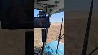 John Deere 660 /670 combine. Harvesting native grass seed 2025