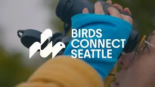 We are Birds Connect Seattle