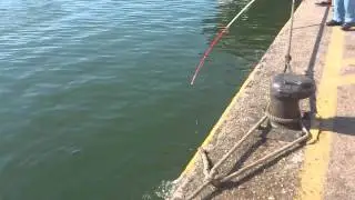 Pesca anguila Colindres Cantabria
