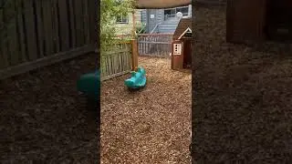 Alki branch - Woodchip Playground