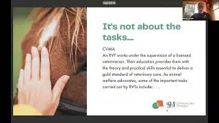 Workforce Woes - Thinking INSIDE the Box. Navigating the veterinary profession workforce crisis.