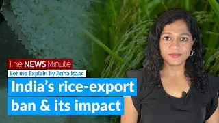 Why India&rsquo;s export ban on rice could trigger a global crisis| USA