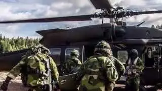 Nordic Battlegroup 2015