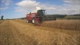 [Unicam] Moisson du bl&eacute; 2016~New Holland Fiatagri&Case ih
