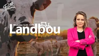 Landbou - 12 Februarie 2025 - Landboumarkte en avokadobedryf