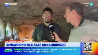 La conservation des esp&egrave;ces - Reportage BFM Alsace - &Eacute;pisode 2/4