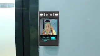 Face recognition terminal living detection