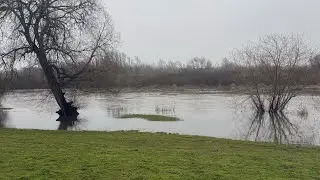 A quick look at the a1 pits river Trent, a lovely cold foggy winters day, not fishing today sadly.