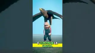😭😭EAGLE HA LASCIATO CADERE IL BAMBINO?  (Credit: @zackdfilms )