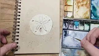 Sand Dollar Art - Simple quick painting is a great for a daily routine. 