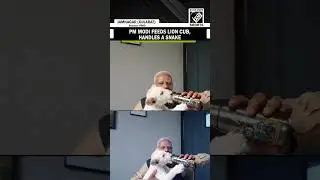 PM Modi seen feeding lion cub, handling snake