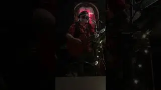 City of New Orleans cover performed by Peter VanNuis