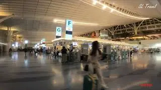 Tokyo International Airport Haneda departure check-in counter