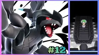 A por el ÚLTIMO Lider de Gimnasio tipo DRAGON!!