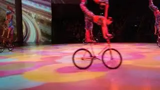 Shanghai Circus - Bicycle Troupe