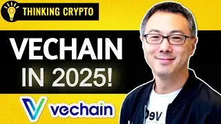 VeChain's 2025 Strategy Revealed! Explosive Growth Ahead! | Sunny Lu