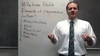 What are Visible Elements of Organizational Culture?