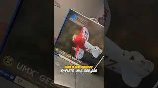 BRAND NEW Mini Race Plane - UMX Gee Bee R-2 🔥