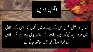 Aqwal e Zareen In Urdu | Urdu Quotes | #Quotes #Aqwal #ayazquotes