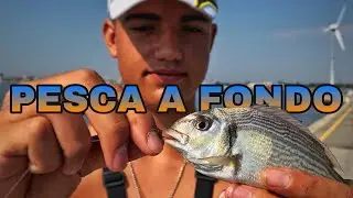 ORATE DAL MOLO | Pesca a FONDO 🥶