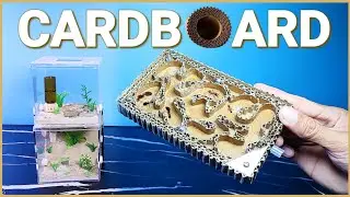 Diy Easy CARDBOARD Ant Farm | D colony