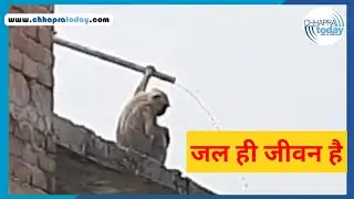 जल ही जीवन है | #ChhapraToday