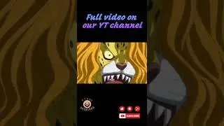 chopper: the emergency food : one piece funny moments