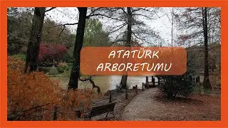 ATATÜRK ARBORETUMU / Nasıl gidilir? / Ormanda Yürüyüş