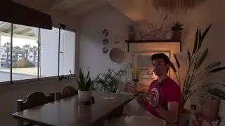 No Contact Kuralı