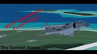 Firsthand review of Tiny Combat Arena