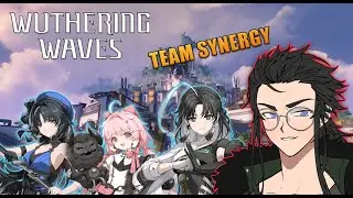 Example of Wuthering Waves Character Synergy