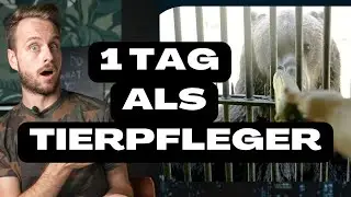 1 Tag als Tierpfleger?