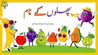 Learn Fruit Name in Urdu | Fruit Names | Phalon k naam | پھلوں کے نام | Pre School Learning Video