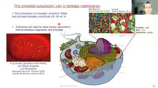 Biological Physics & Physical Biology Seminar, 27 September 2024
