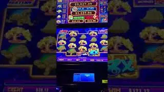 At San Manuel Max bet big big win you must watch it