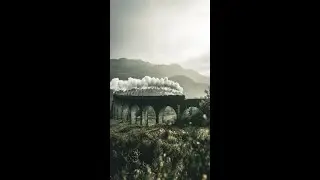 Альтернативный сюжет Гарри Поттер на лезвии бритвы 1/10 часть